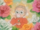 Principal Urara