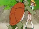 Follow turtle transformation
