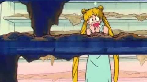 Lunch Box Sailor Moon Bunny Tsukino Accessories Tsukino Usagi
