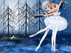 Princess tutu anime wallpaper-normal