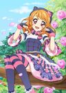 Photokatsu 0331