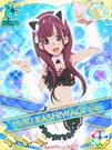 Galaxy Cinderella 81.jpg (267 KB)