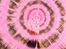 Cutie Honey transforming