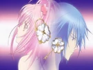 Amu and Ikuto