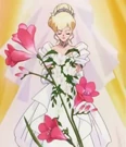 Elegance Honey