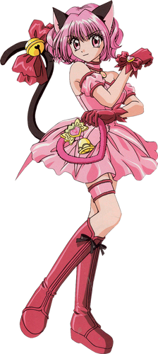 Tokyo Mew Mew: Magical Animal Girls – OTAQUEST