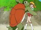 Follow turtle transformation