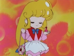 Mary Bell Tambourine as a bag