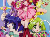 Tokyo Mew Mew (Anime)