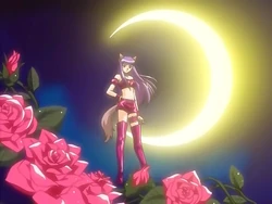 藤原ざくろ 魔法少女 Wiki Fandom