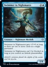 Swimmer in Nightmares