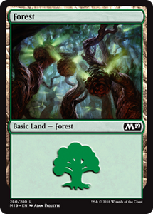 280/280 Forest