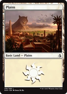 256/287 Plains