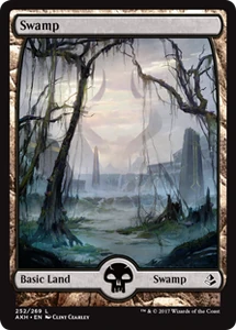 252/287 Swamp