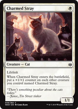 Charmed Stray