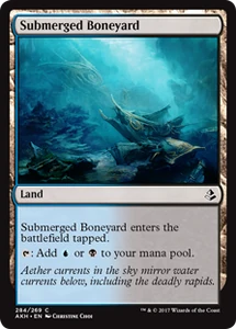 284/287 Submerged Boneyard