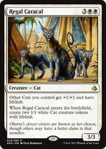 24/287 Regal Caracal