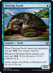 66/274 Thriving Turtle