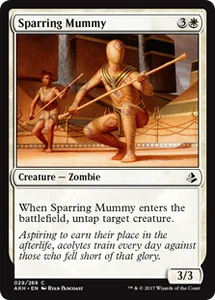29/287 Sparring Mummy