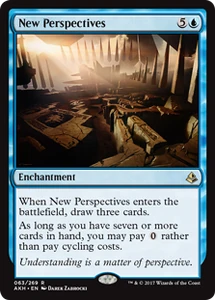 63/287 New Perspectives