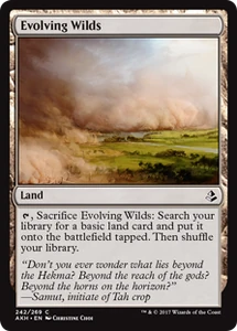 242/287 Evolving Wilds