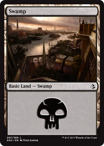 263/287 Swamp