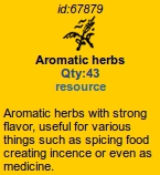Aromaticherbs.jpg