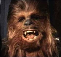 Wookie.jpg