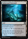 Submerged Boneyard.png