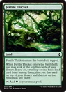 Fertile Thicket.png