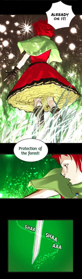 Protection of the Forest