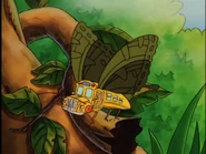 Butterfly (green wings)