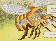 Bee