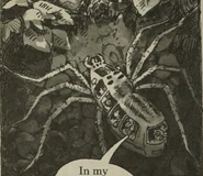 Spider (Chapter Books)
