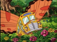 Butterfly (orange wings)