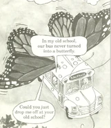 Butterfly (Chapter Books)