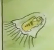 Jellyfish