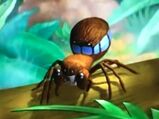 Jungle Spider