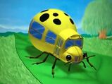 Yellow Ladybug