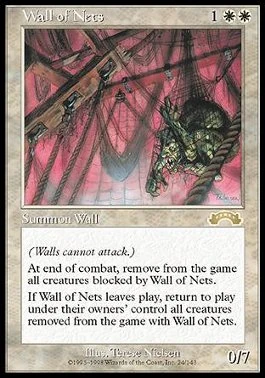 Magic The Gathering - Wall Of Shards (Muro Di Frammenti) - Coldsnap - Carta Comune