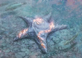 Sigiled StarfishART1