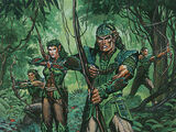 Arcieri Elfici (Elvish Archers)