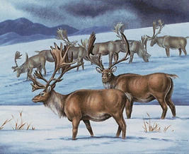 Caribou RangeART2