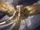 Archangel of TithesART1.jpg