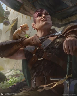 Minsc & Boo, Timeless HeroesART1
