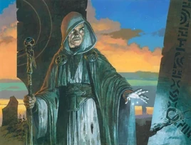 Weathered WayfarerART2