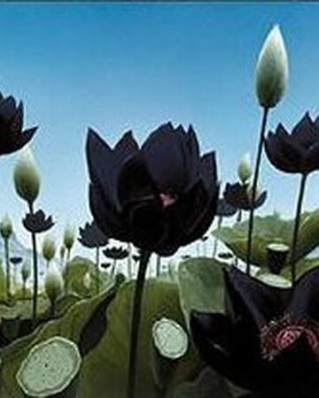 Valle Del Loto Magic The Gathering Wiki Fandom
