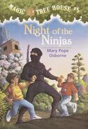 Night-of-the-ninjas