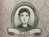 Teddy