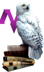 Hedwig books.png